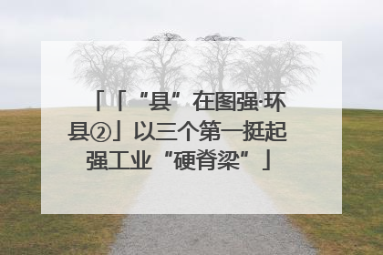 「“县”在图强·环县②」以三个第一挺起强工业“硬脊梁”