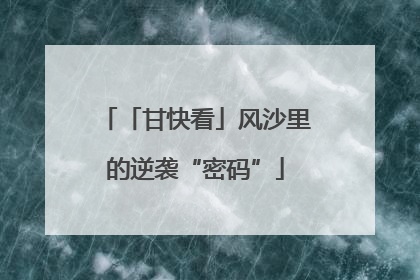 「甘快看」风沙里的逆袭“密码”