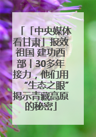 「中央媒体看甘肃」报效祖国 建功西部丨30多年接力，他们用“生态之眼”揭示青藏高原的秘密