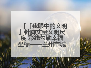 「我眼中的文明」针脚丈量文明尺度 彩线勾勒幸福坐标——兰州市城关区酒泉路街道办事处