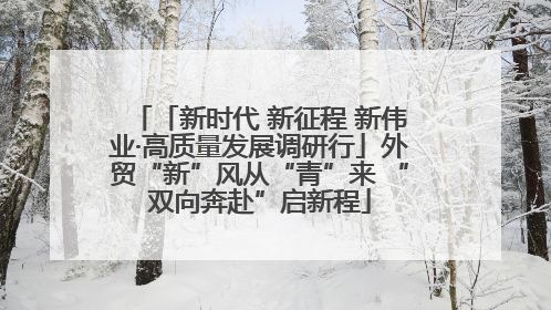 「新时代 新征程 新伟业·高质量发展调研行」外贸“新”风从“青”来 “双向奔赴”启新程
