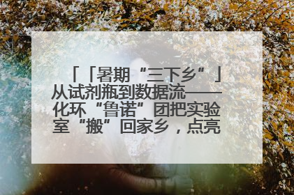 「暑期“三下乡”」从试剂瓶到数据流——化环“鲁诺”团把实验室“搬”回家乡，点亮桑梓求知路