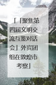 「聚焦第四届文明交流互鉴对话会」外宾团组在敦煌市考察