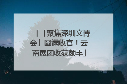 「聚焦深圳文博会」圆满收官！云南展团收获颇丰
