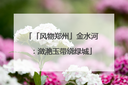 「风物郑州」金水河：潋滟玉带绕绿城