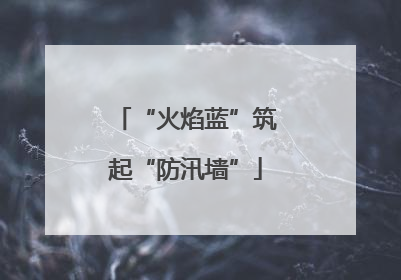 “火焰蓝”筑起“防汛墙”