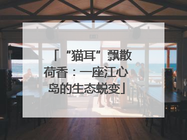 “猫耳”飘散荷香：一座江心岛的生态蜕变