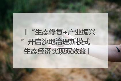 “生态修复+产业振兴”开启沙地治理新模式 生态经济实现双效益