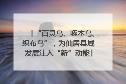 “百灵鸟、啄木鸟、织布鸟”，为仙居县域发展注入“新”动能