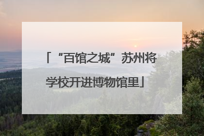 “百馆之城”苏州将学校开进博物馆里