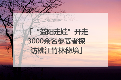 “益阳走娃”开走 3000余名参赛者探访桃江竹林秘境
