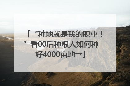 “种地就是我的职业！”看00后种粮人如何种好4000亩地→