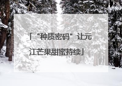 “种质密码”让元江芒果甜蜜持续