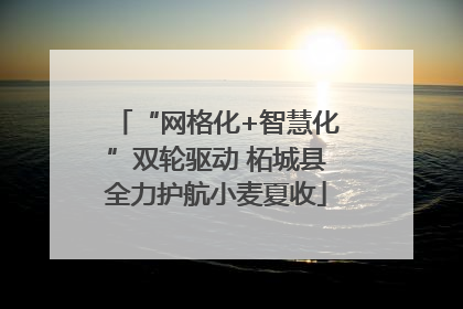 “网格化+智慧化”双轮驱动 柘城县全力护航小麦夏收
