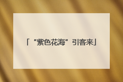 “紫色花海”引客来