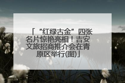 “红绿古金”四张名片惊艳亮相！吉安文旅招商推介会在青原区举行(图)