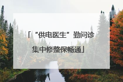 “供电医生”勤问诊 集中修整保畅通