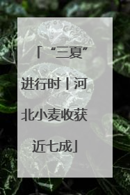 “三夏”进行时丨河北小麦收获近七成