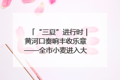 “三夏”进行时｜黄河口奏响丰收乐章——全市小麦进入大面积收获高峰期