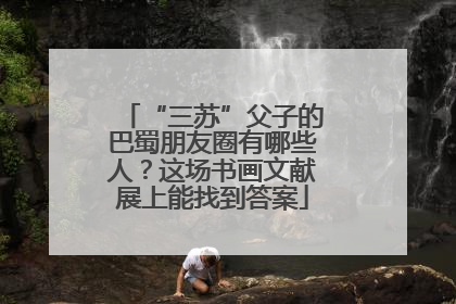 “三苏”父子的巴蜀朋友圈有哪些人？这场书画文献展上能找到答案