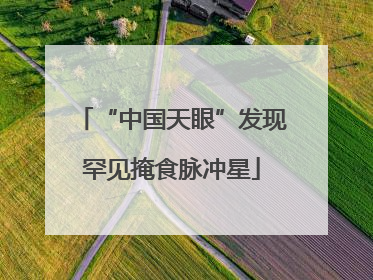 “中国天眼”发现罕见掩食脉冲星
