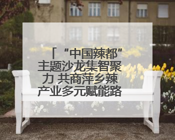 “中国辣都”主题沙龙集智聚力 共商萍乡辣产业多元赋能路径（图）