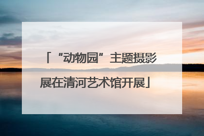 “动物园”主题摄影展在清河艺术馆开展