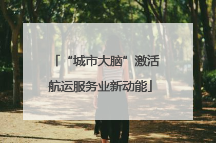 “城市大脑”激活航运服务业新动能