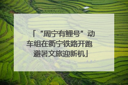 “周宁有鲤号”动车组在衢宁铁路开跑 避暑文旅迎新机