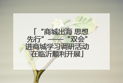 “商城出海 思想先行”——“双会”进商城学习调研活动在临沂顺利开展