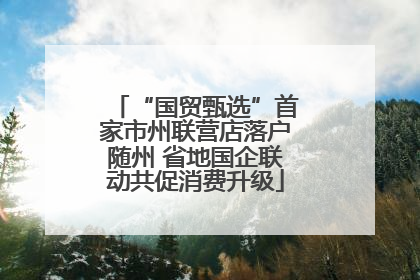 “国贸甄选”首家市州联营店落户随州 省地国企联动共促消费升级