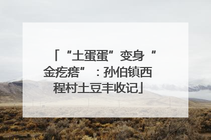 “土蛋蛋”变身“金疙瘩”：孙伯镇西程村土豆丰收记