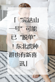 “完达山一号”可能已“脱单”！东北虎种群也有新喜讯