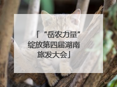 “岳农力量”绽放第四届湖南旅发大会