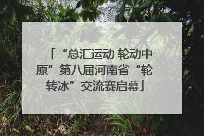 “总汇运动 轮动中原”第八届河南省“轮转冰”交流赛启幕