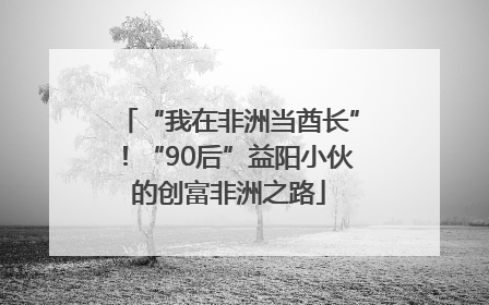 “我在非洲当酋长”！“90后”益阳小伙的创富非洲之路