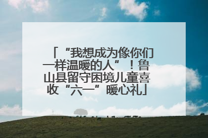 “我想成为像你们一样温暖的人”！鲁山县留守困境儿童喜收“六一”暖心礼