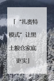 “扎赉特模式”让黑土粮仓家底更实