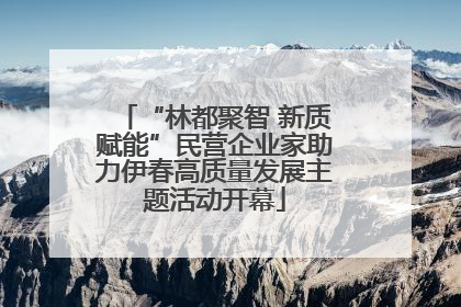 “林都聚智 新质赋能”民营企业家助力伊春高质量发展主题活动开幕