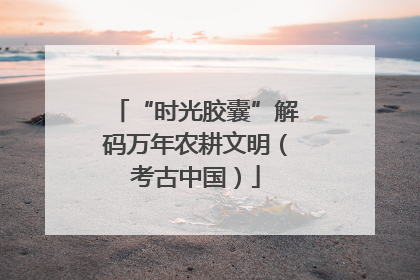 “时光胶囊”解码万年农耕文明（考古中国）