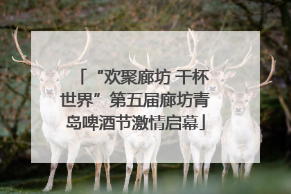 “欢聚廊坊 干杯世界”第五届廊坊青岛啤酒节激情启幕