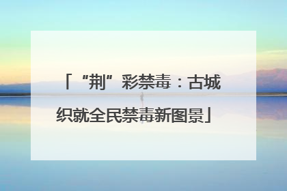 “荆”彩禁毒：古城织就全民禁毒新图景
