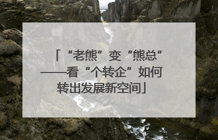 “老熊”变“熊总”——看“个转企”如何转出发展新空间