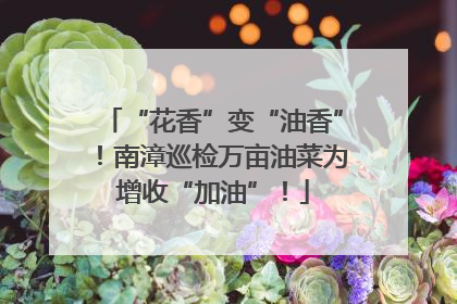 “花香”变“油香”！南漳巡检万亩油菜为增收“加油”！