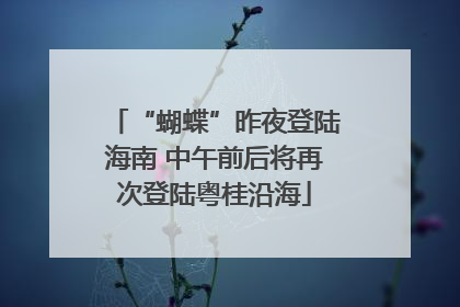 “蝴蝶”昨夜登陆海南 中午前后将再次登陆粤桂沿海
