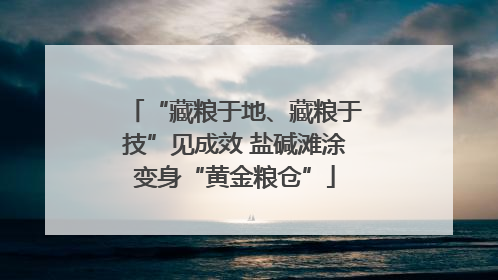 “藏粮于地、藏粮于技”见成效 盐碱滩涂变身“黄金粮仓”