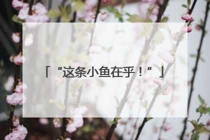 “这条小鱼在乎！”