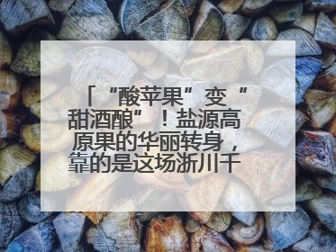 “酸苹果”变“甜酒酿”！盐源高原果的华丽转身，靠的是这场浙川千里“联姻”