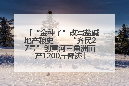 “金种子”改写盐碱地产粮史——“齐民27号”创黄河三角洲亩产1200斤奇迹