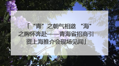 “青”之朝气相邀 “海”之胸怀奔赴——青海省招商引资上海推介会现场见闻